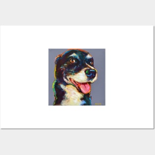 Smiling Australian Shepherd Mix Posters and Art